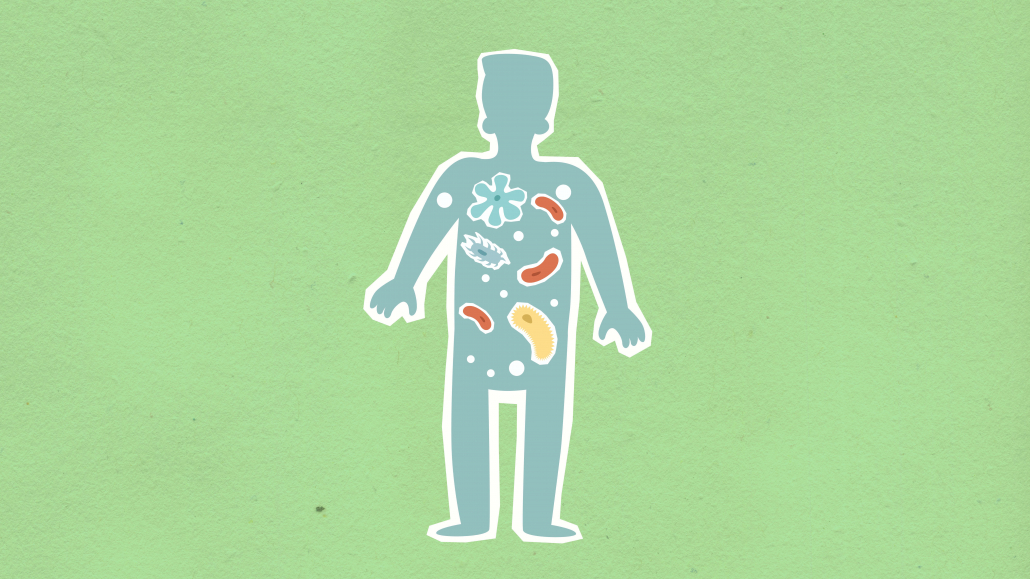 cuerpo humano
